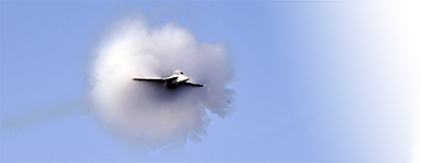 SIZ Advanced Kurs Logo